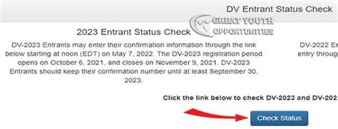 dv lottery 2023 status check|If Selected .